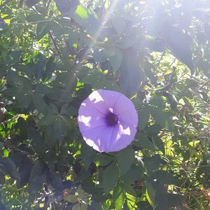 Meet your Posher, Selma